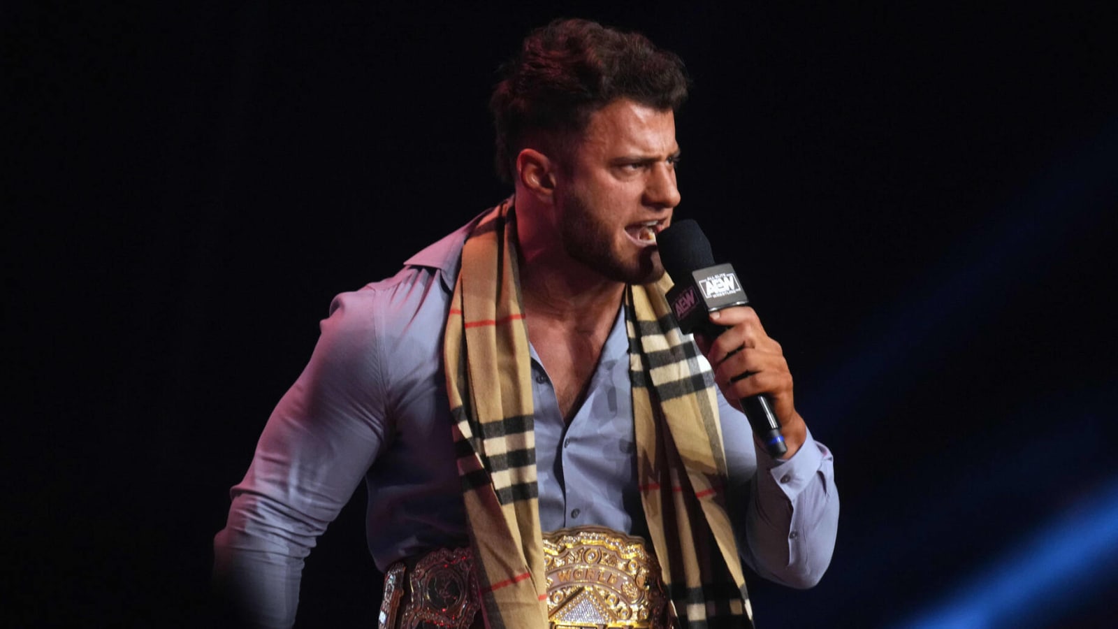 Dethroned AEW Champion removed from roster page