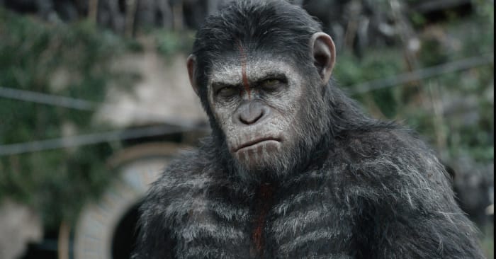 Planet of the Apes