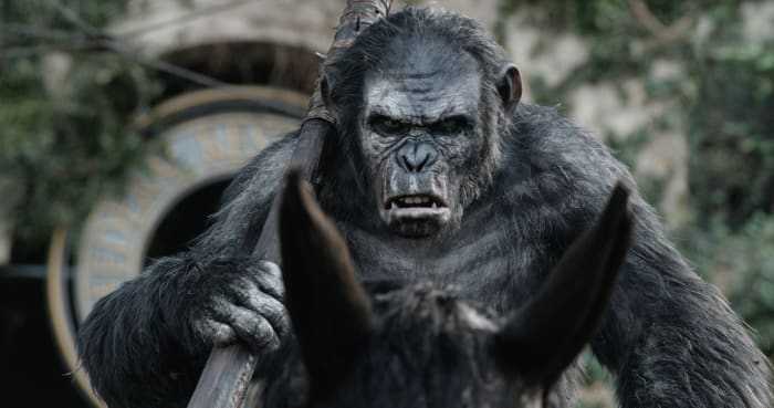 'Dawn of the Planet of the Apes'