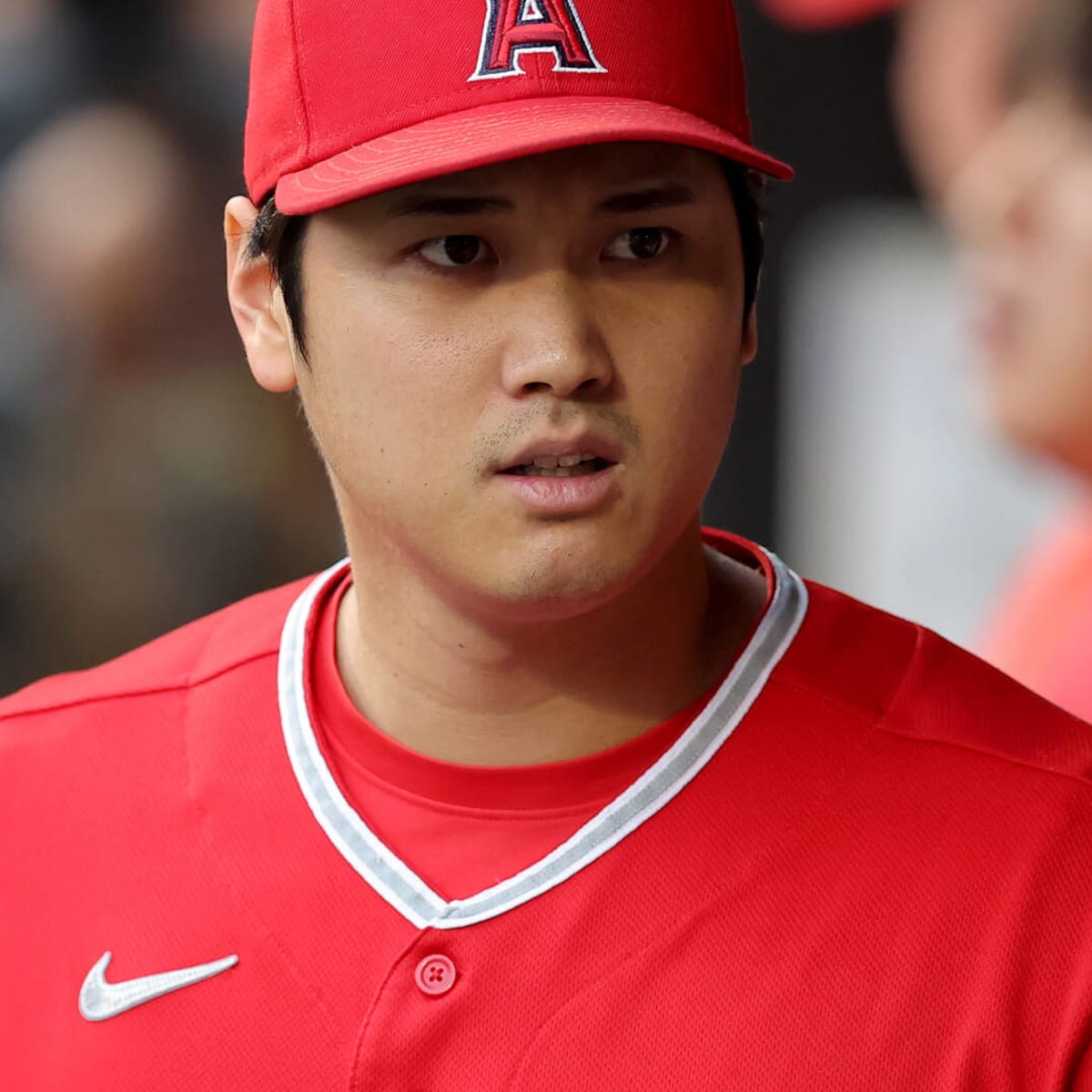 Angels star Shohei Ohtani will have elbow surgery soon, out for the season  because of oblique injury