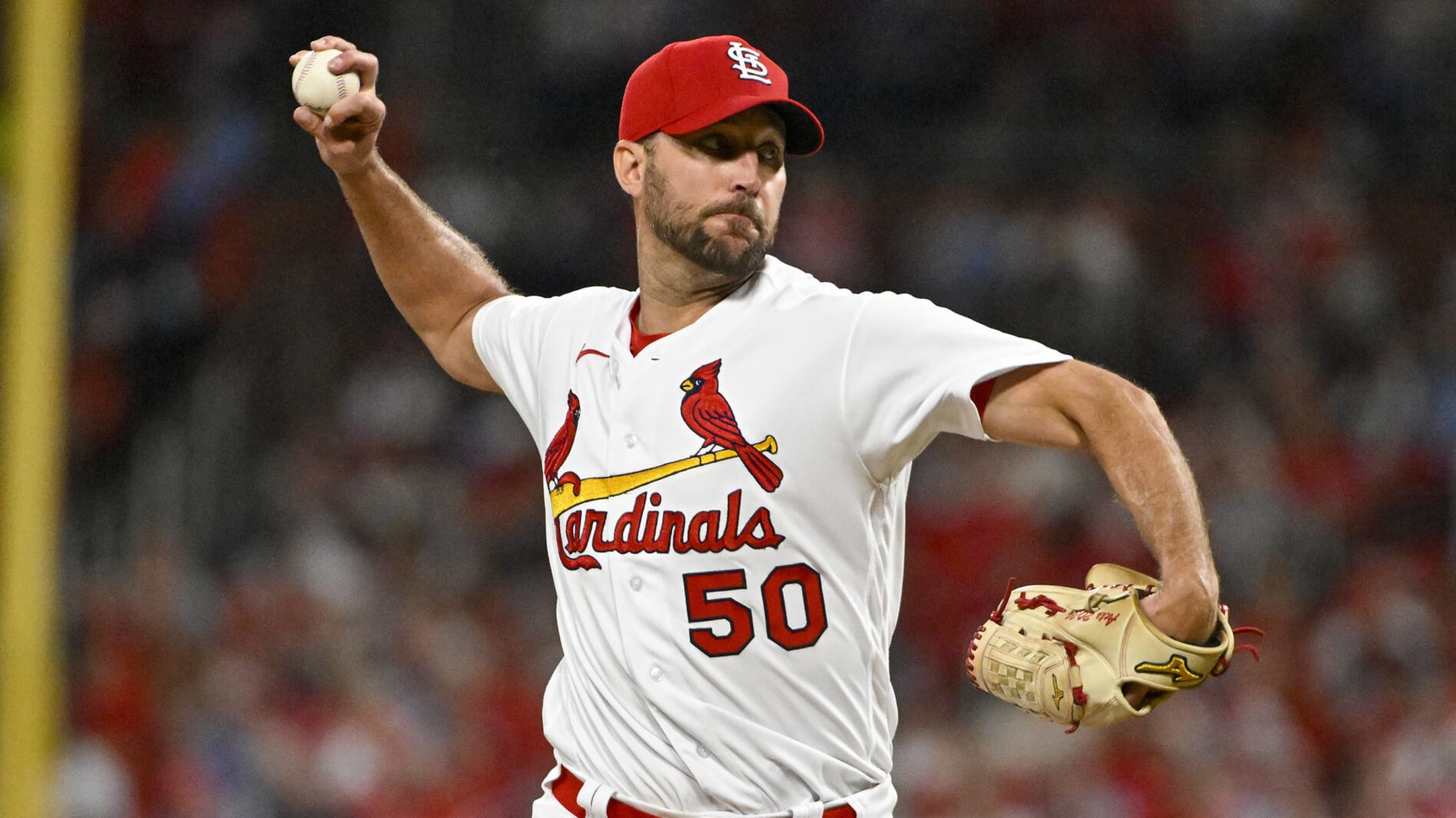 Adam Wainwright promised his kids a puppy when he retired. Cardinals  delivered on final day