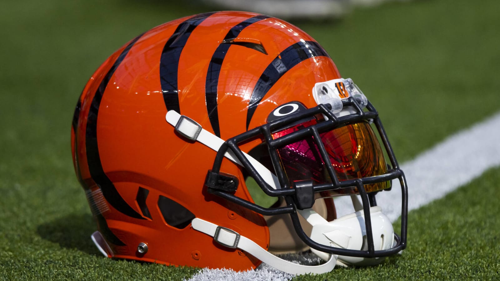 Bengals hire Adam Zimmer as offensive assistant