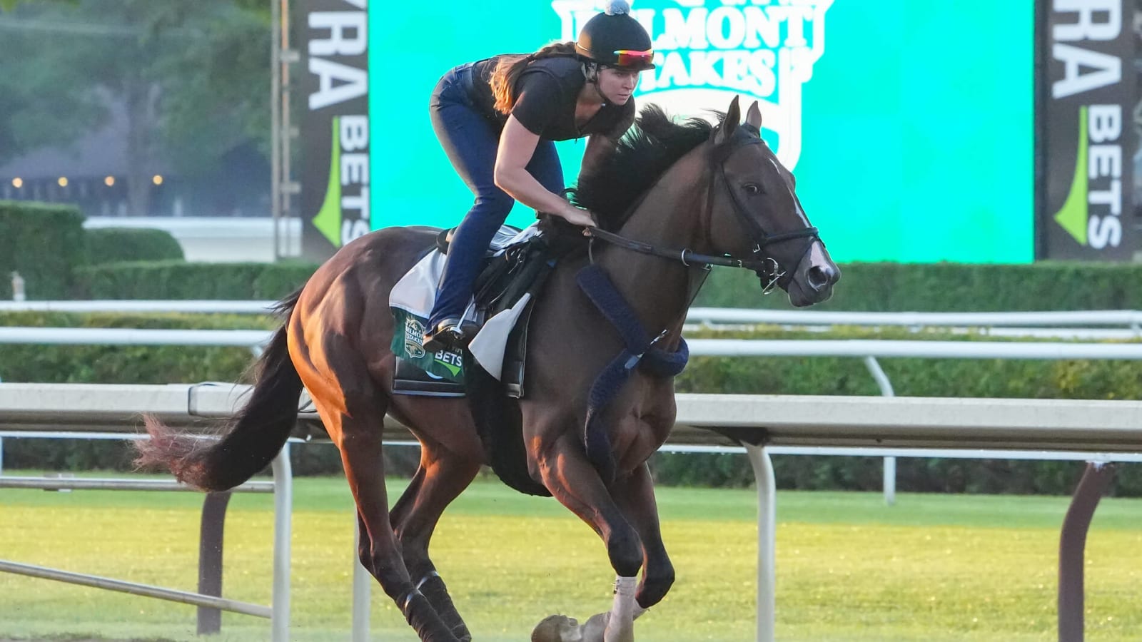One-time World Series champion's horse wins Belmont Stakes