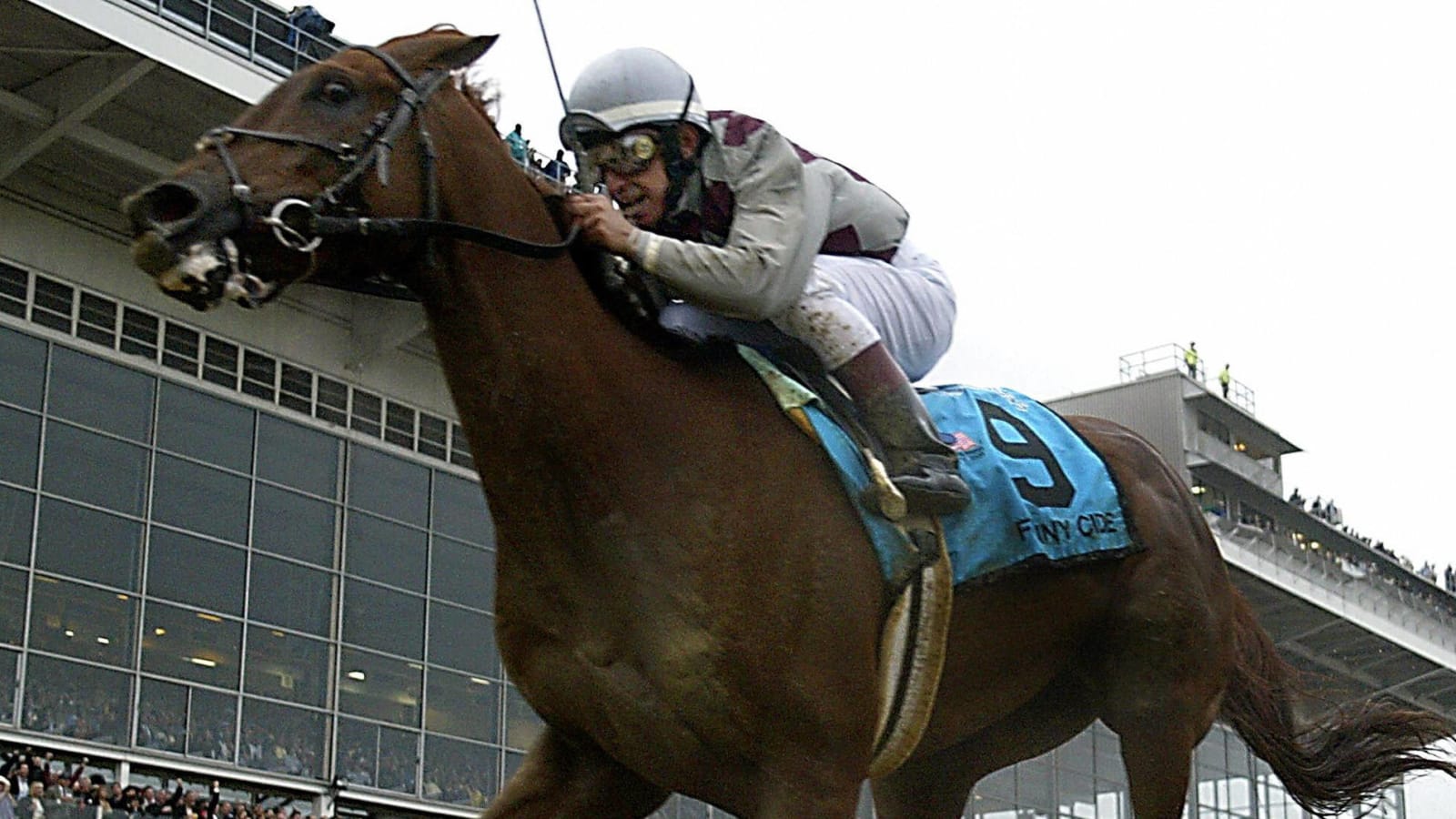 The 'Preakness Stakes winners' quiz