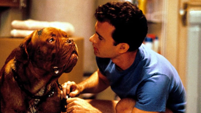 "Turner & Hooch" (1989)