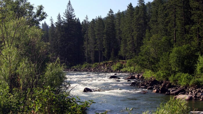 "A River Runs Through It" (1992)