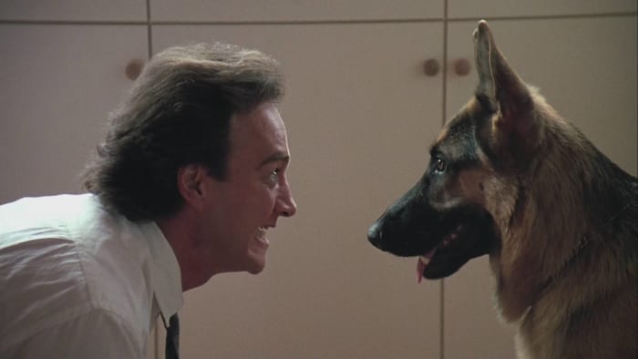 "K-9" (1989)