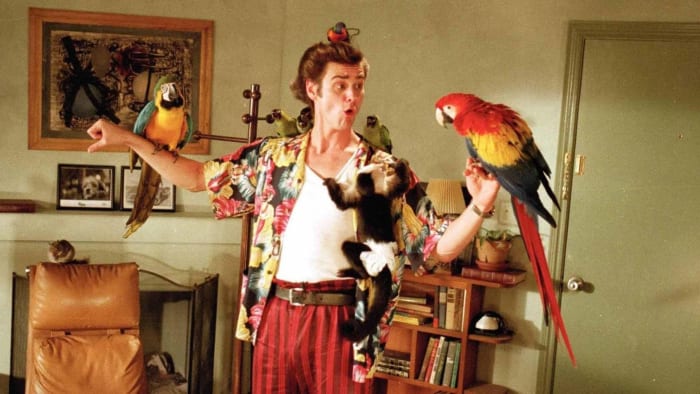 Ace Ventura - “Ace Ventura: Pet Detective” (1994) and “Ace Ventura: When Nature Calls” (1995)