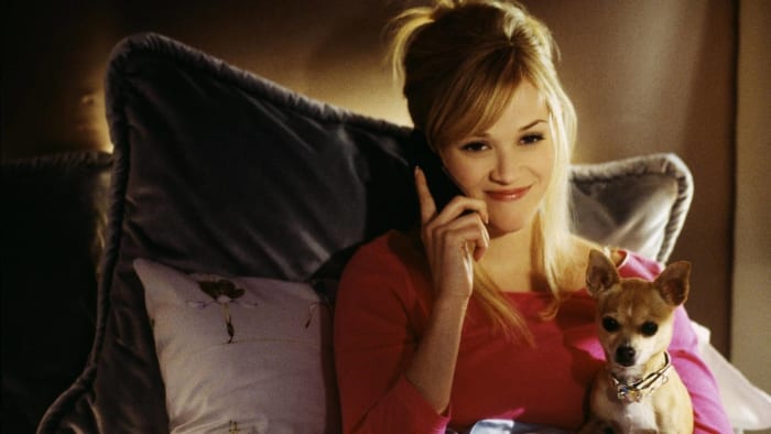 "Legally Blonde 3" (May 8)
