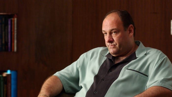 Tony Soprano ('The Sopranos')