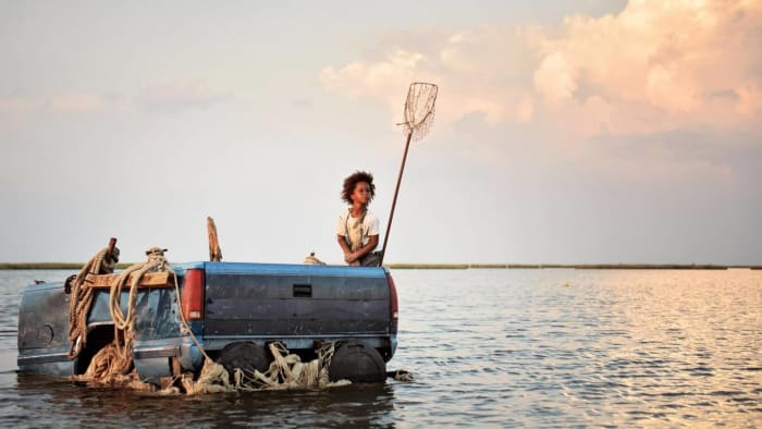"Beasts of the Southern Wild" (2012)