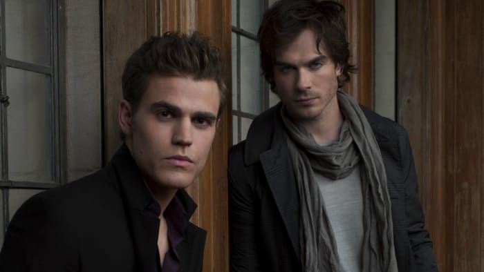 Damon and Stefan Salvatore ('The Vampire Diaries')