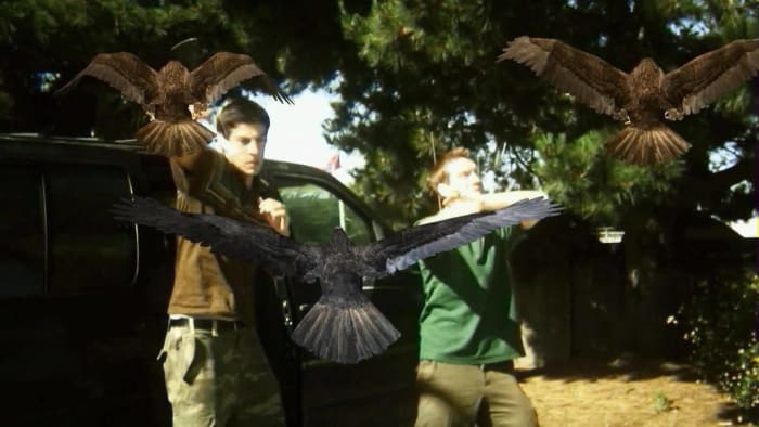 "Birdemic: Shock and Terror" (2010)