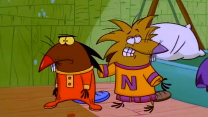 'The Angry Beavers'