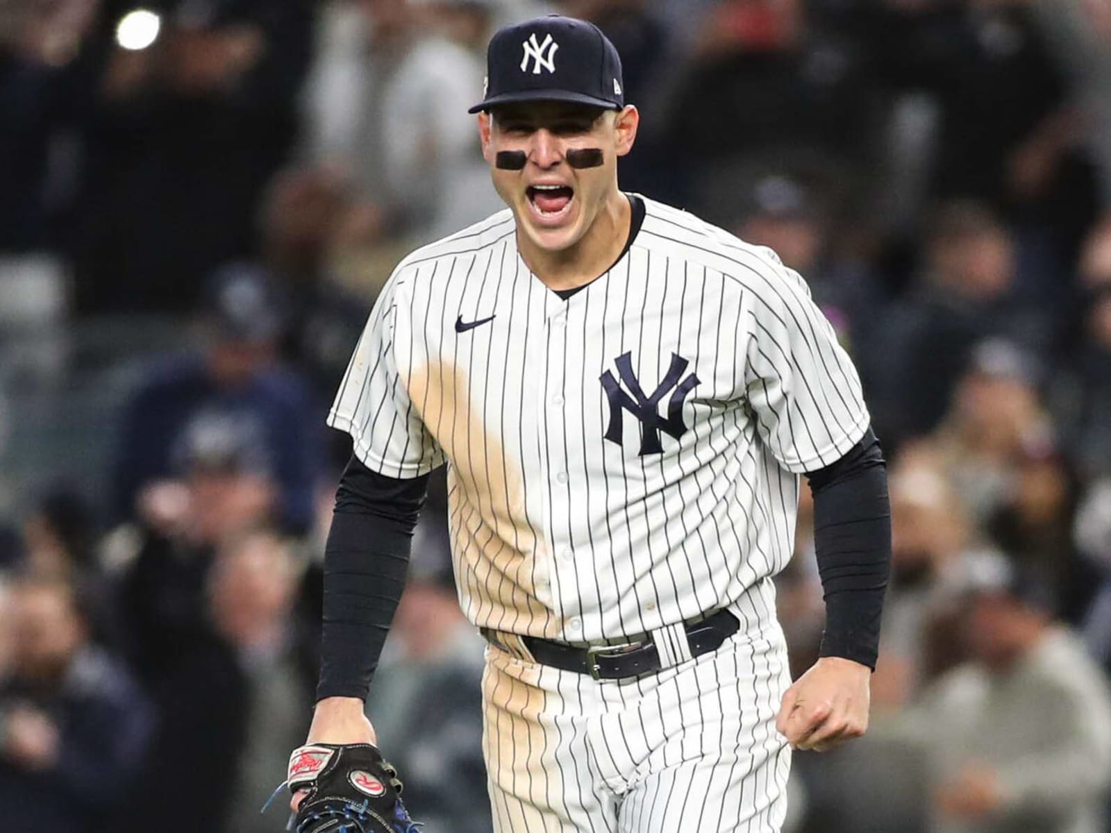 Aaron Judge and Anthony Rizzo, who are both the proud fathers of  Dachshunds, rolled into the Yankees clubhouse today wearing matching  Dachshund print Hawaiian-style shirts they found on Instagram. : r/NYYankees