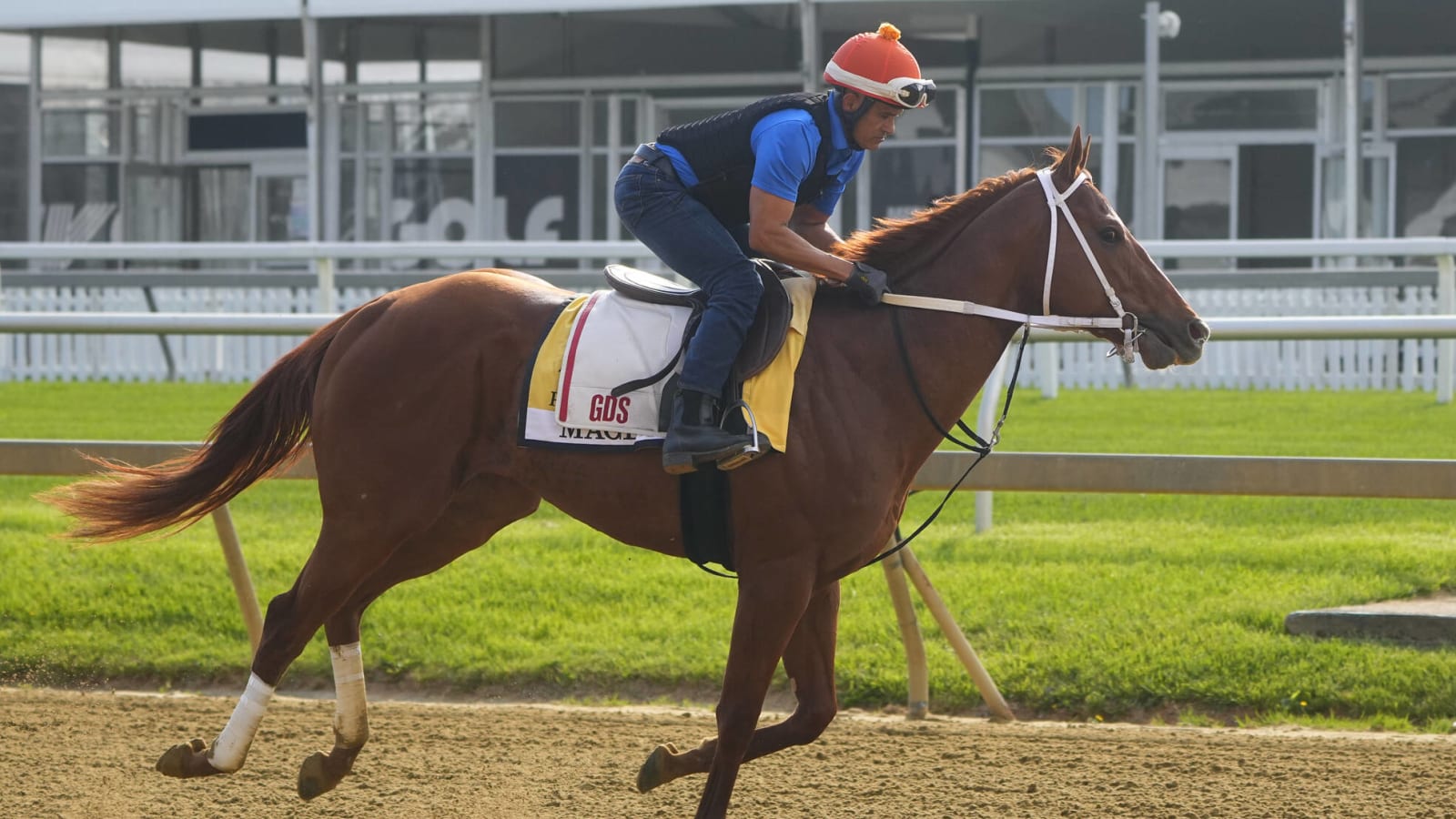Preakness Stakes odds revealed
