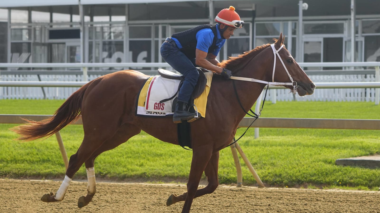 Preakness Stakes odds revealed Yardbarker