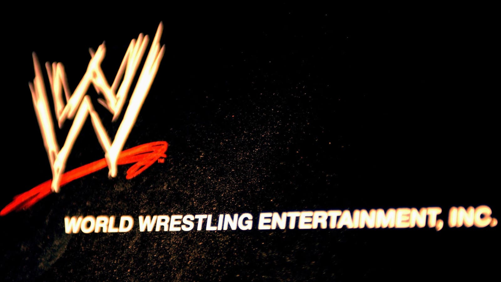 Is WWE planning a shoot-style fight tournament? 