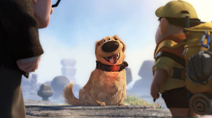 Dug from 'Up'