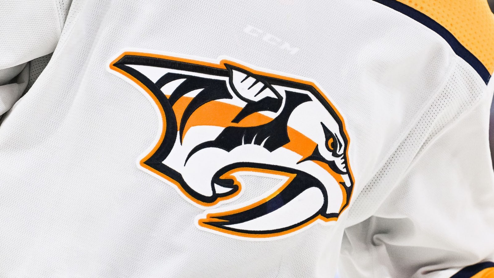 Predators sign Hinostroza, Lucchini, Blakenburg, Murray to contracts