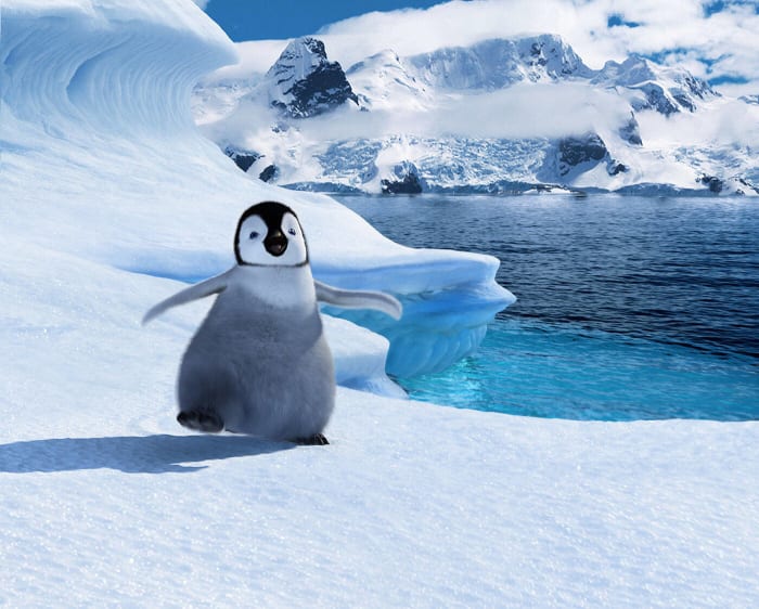 'Happy Feet' (2006)