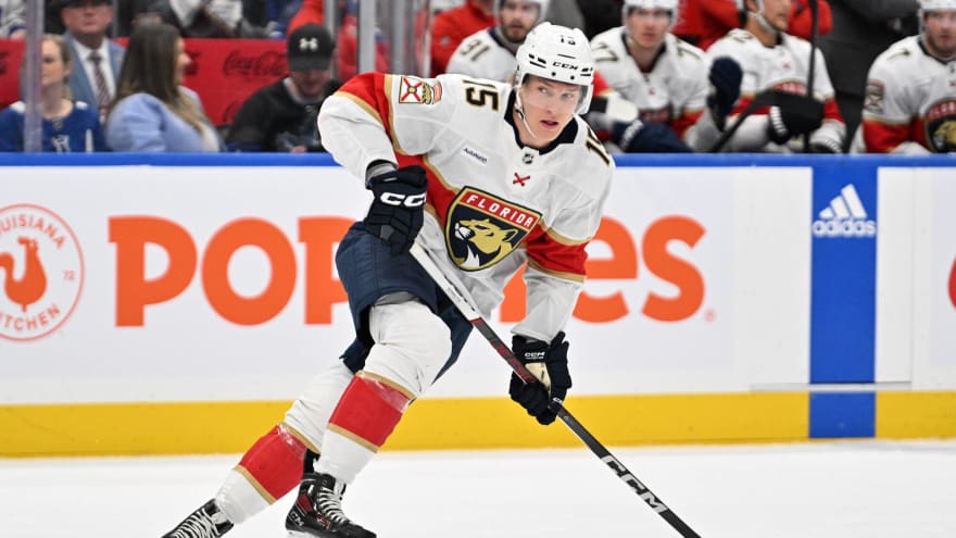 Florida Panthers Anton Lundell Does Not Shy Away from Big Moments