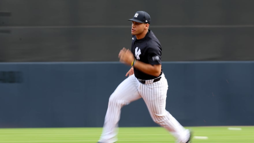 The Yankees have a special catcher prospect destroying Double-A