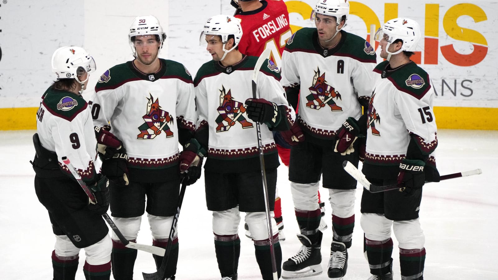 Coyotes Grab Center Adam Ružička