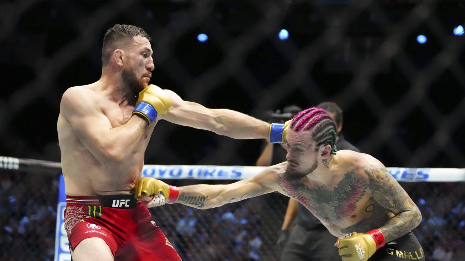 Merab Dvalishvili and Aljamain Sterling&#39;s team get in fight with fan at UFC 310
