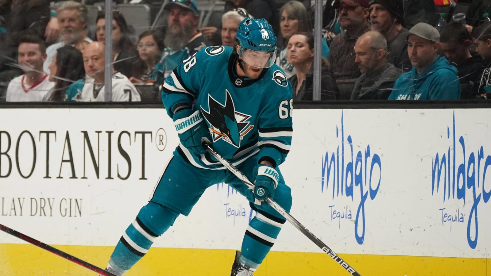 The Sharks no longer want Mike Hoffman
