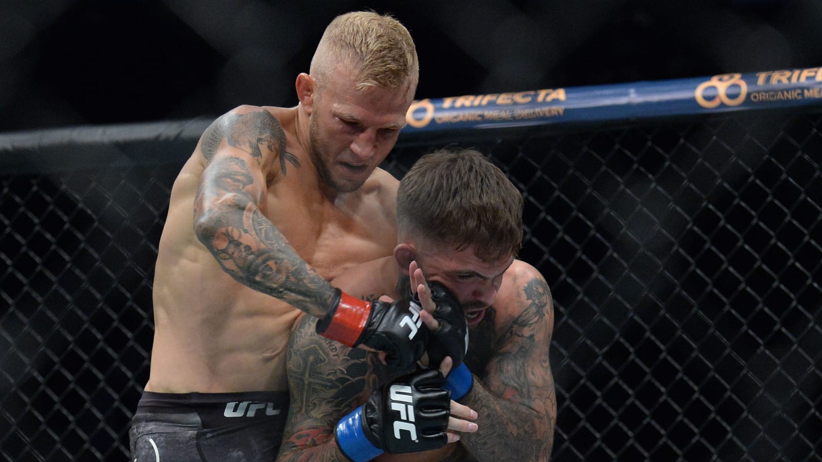 T.J. Dillashaw Grapples With What is Next After Fighting