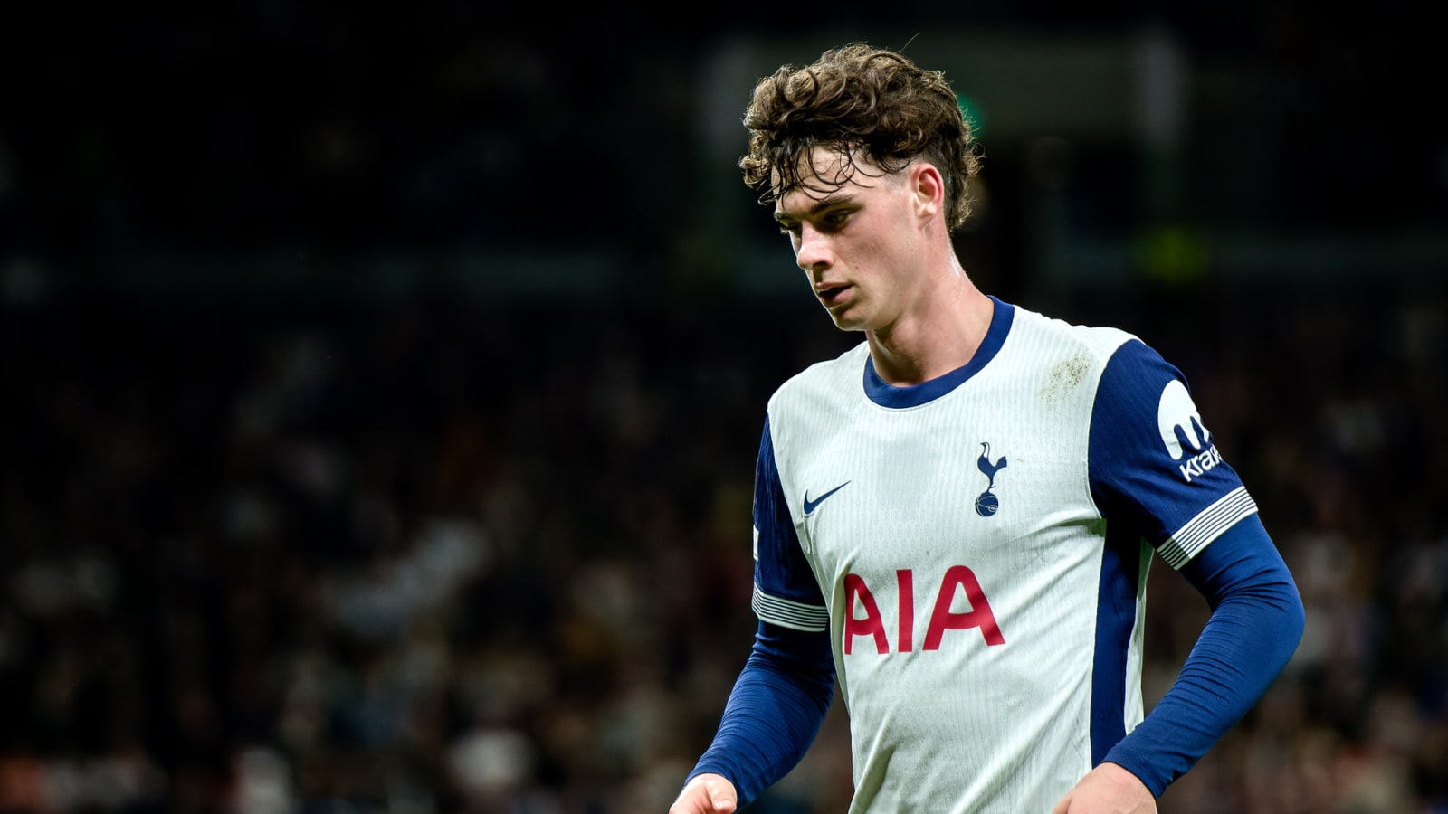 Bryan King wants Tottenham midfielder to stay at Spurs and fight for his spot