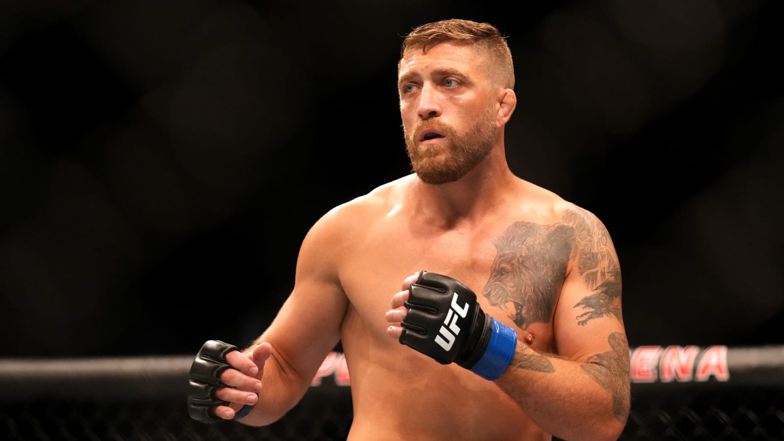 Gerald Meerschaert Now Holds Title Last Held by Anderson Silva