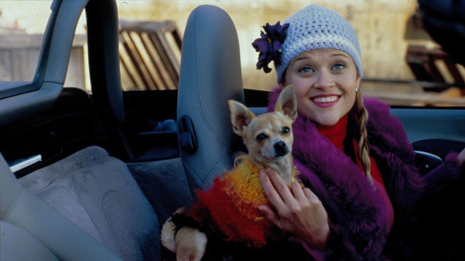 20 facts you might not know about 'Legally Blonde'