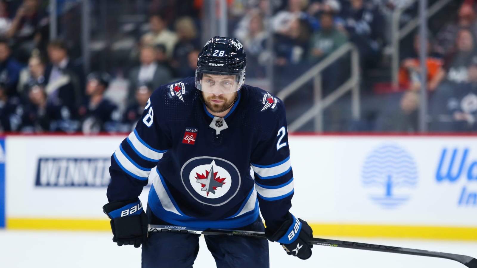 Bruins Recall Jeffrey Viel