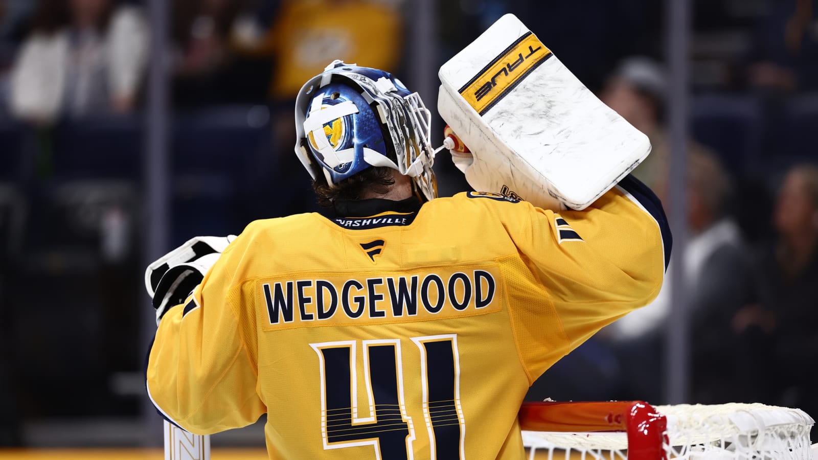 Goaltender Scott Wedgewood Has Officially Been Traded in Goalie Swap