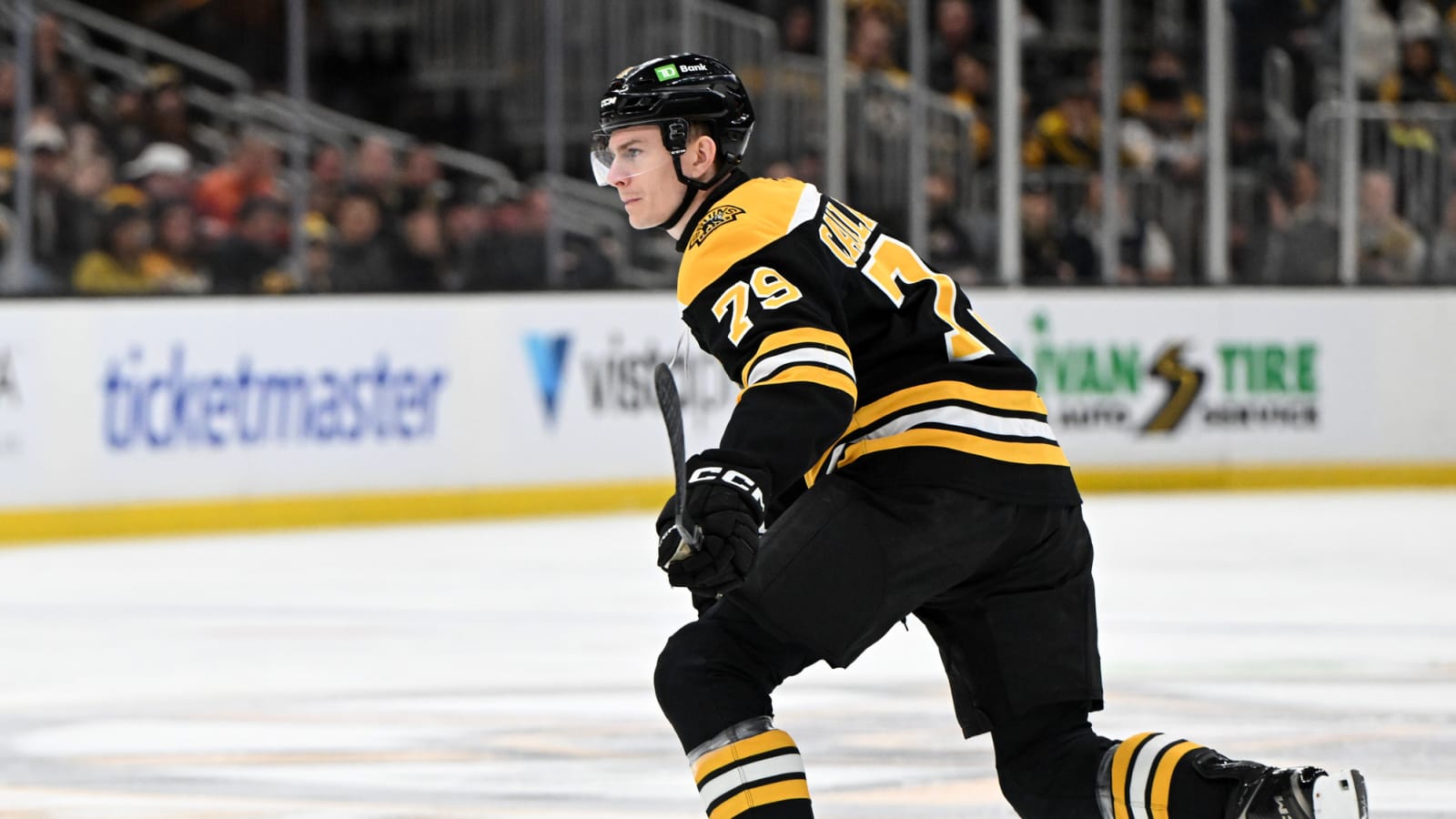 Bruins Sending Two Players Down To AHL Over Extended Break
