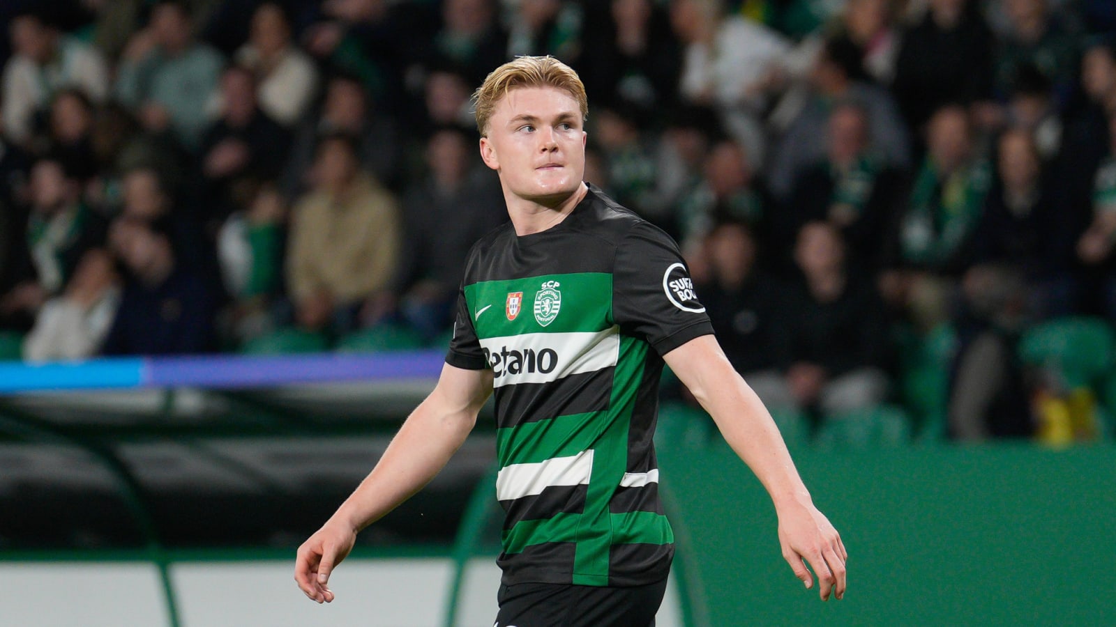 Chelsea now scouting new striker from Portuguese league that isn’t Viktor Gyokeres