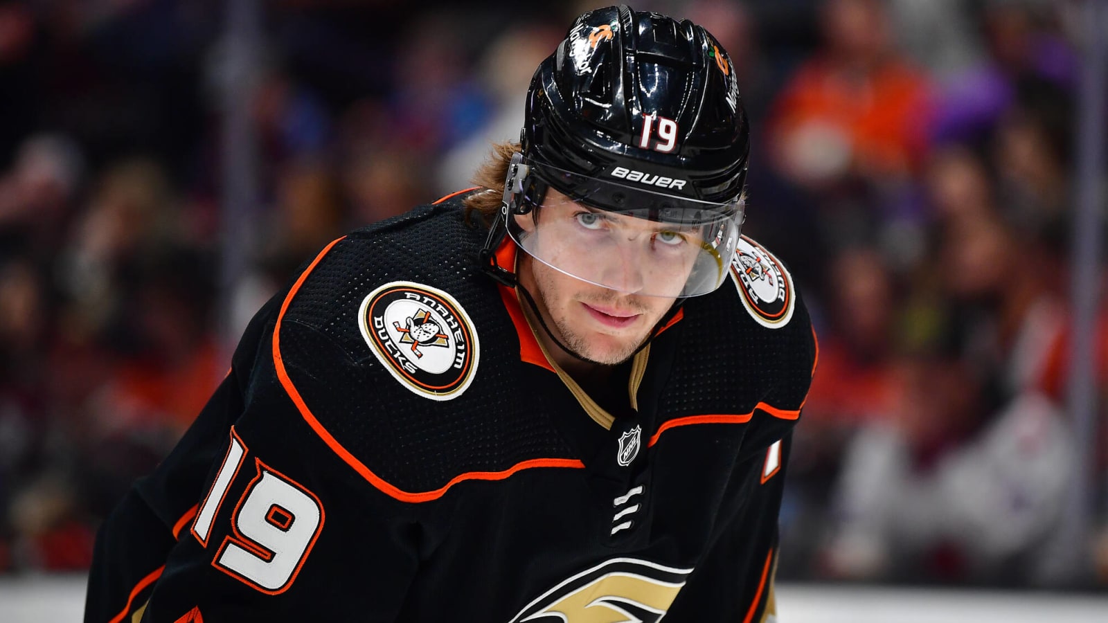 Ducks: Forecasting Terry’s First Season of New Extension