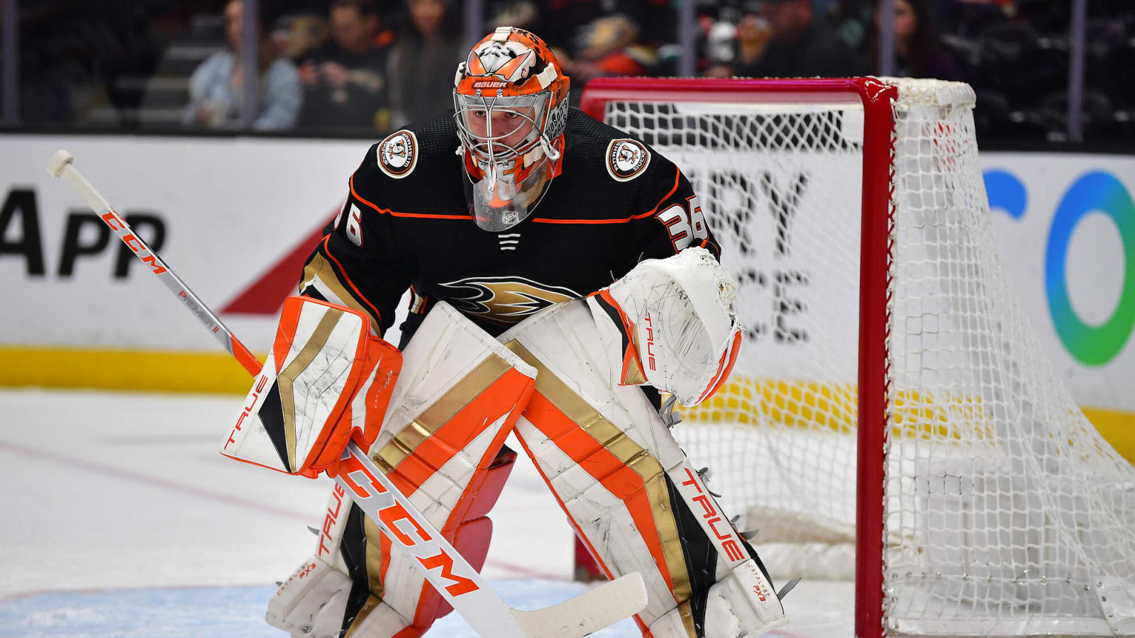 Ducks Need to Address Goaltending Situation This Offseason