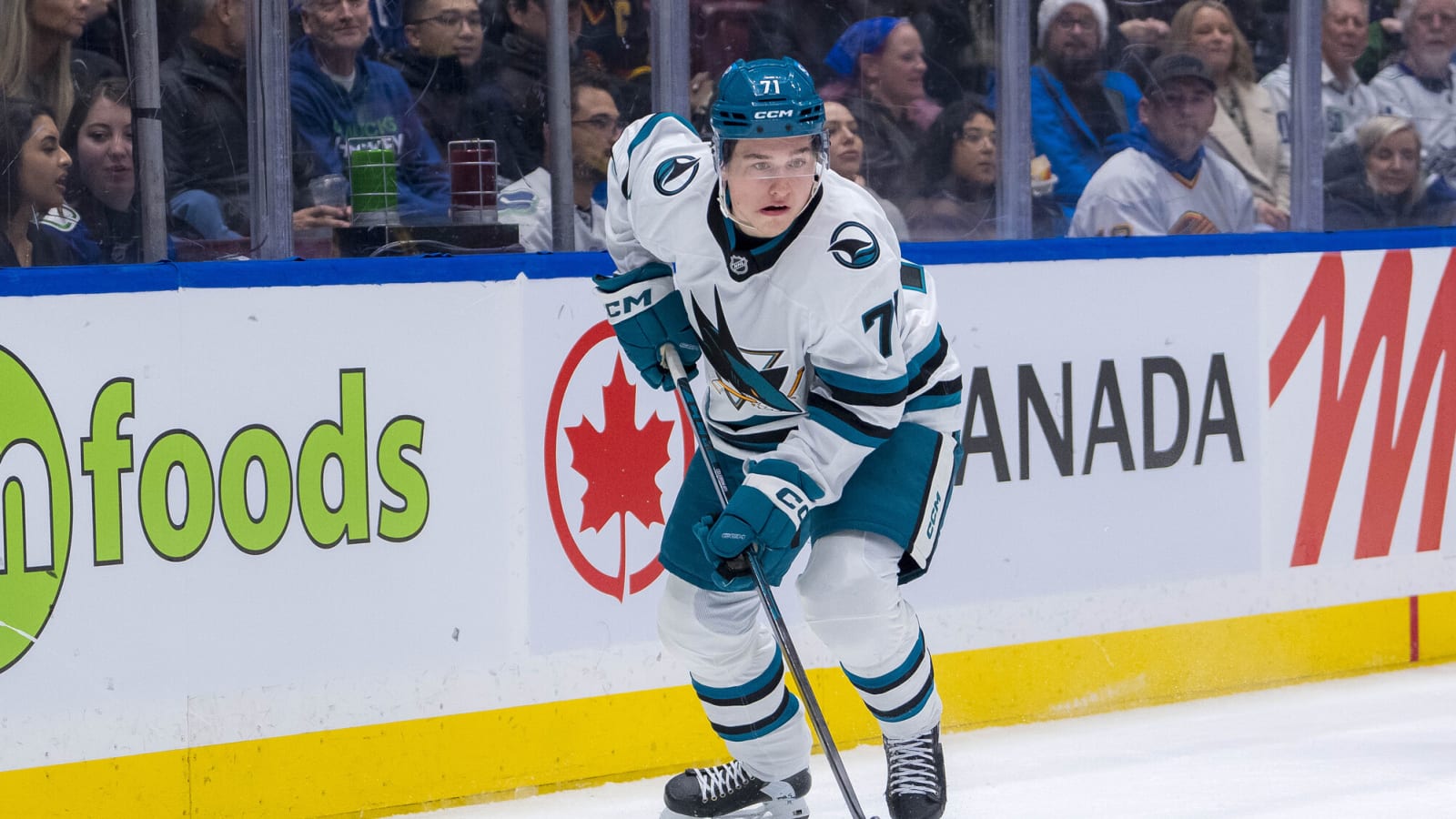 What Can Celebrini, Sharks Learn From Losing Streak?