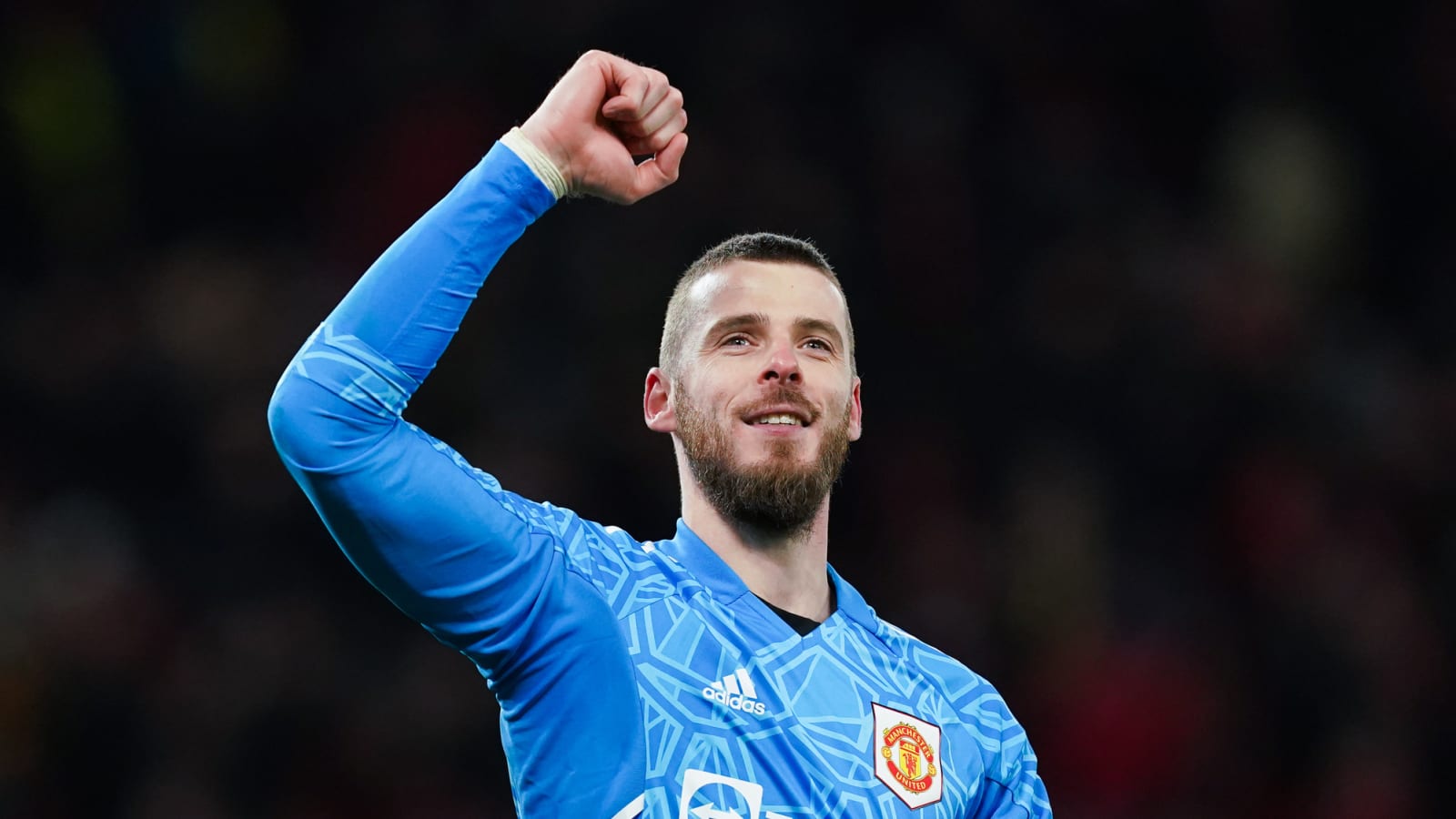 David de gea adidas deals
