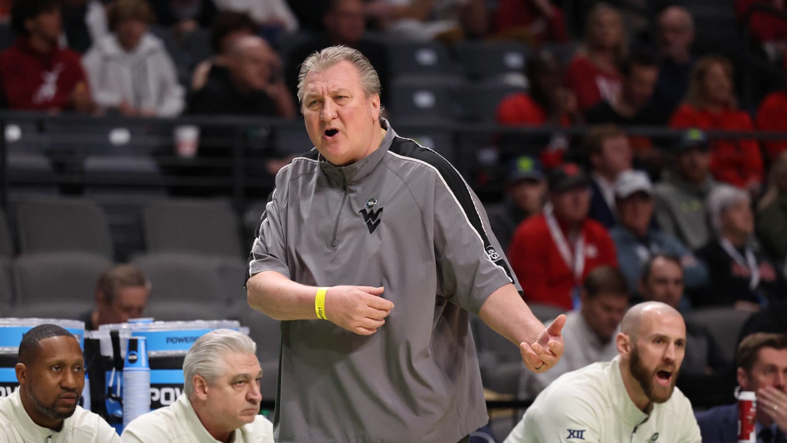 Louisville Cardinals: Controversial Head Coach Makes Shocking Declaration to Lead Louisville in 2024