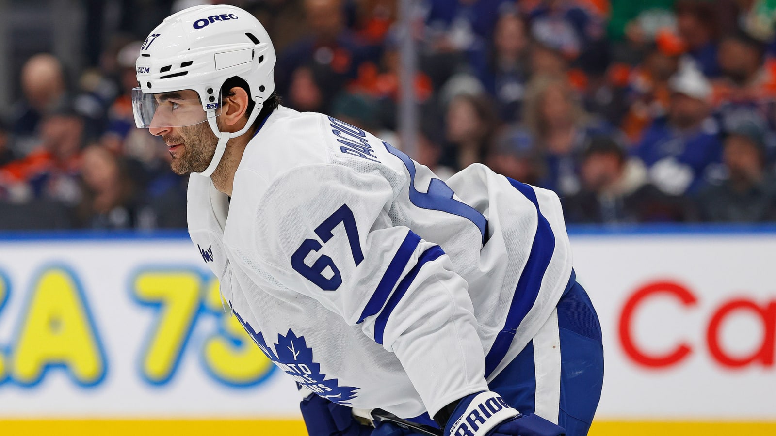Major Update on Max Pacioretty&#39;s Injury After Missing Maple Leafs Practice