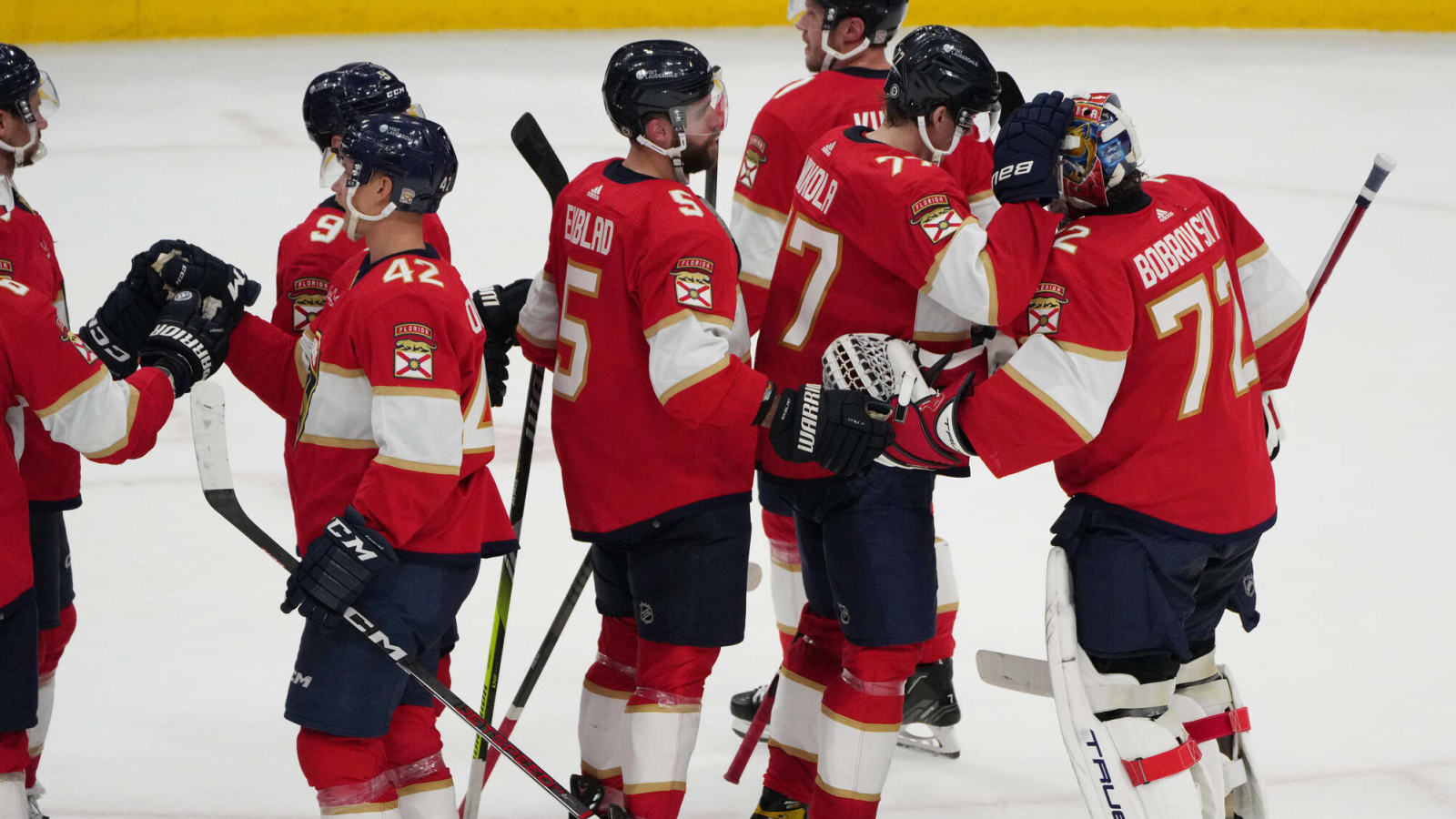 Florida Panthers Slug It Out, Drop Coyotes