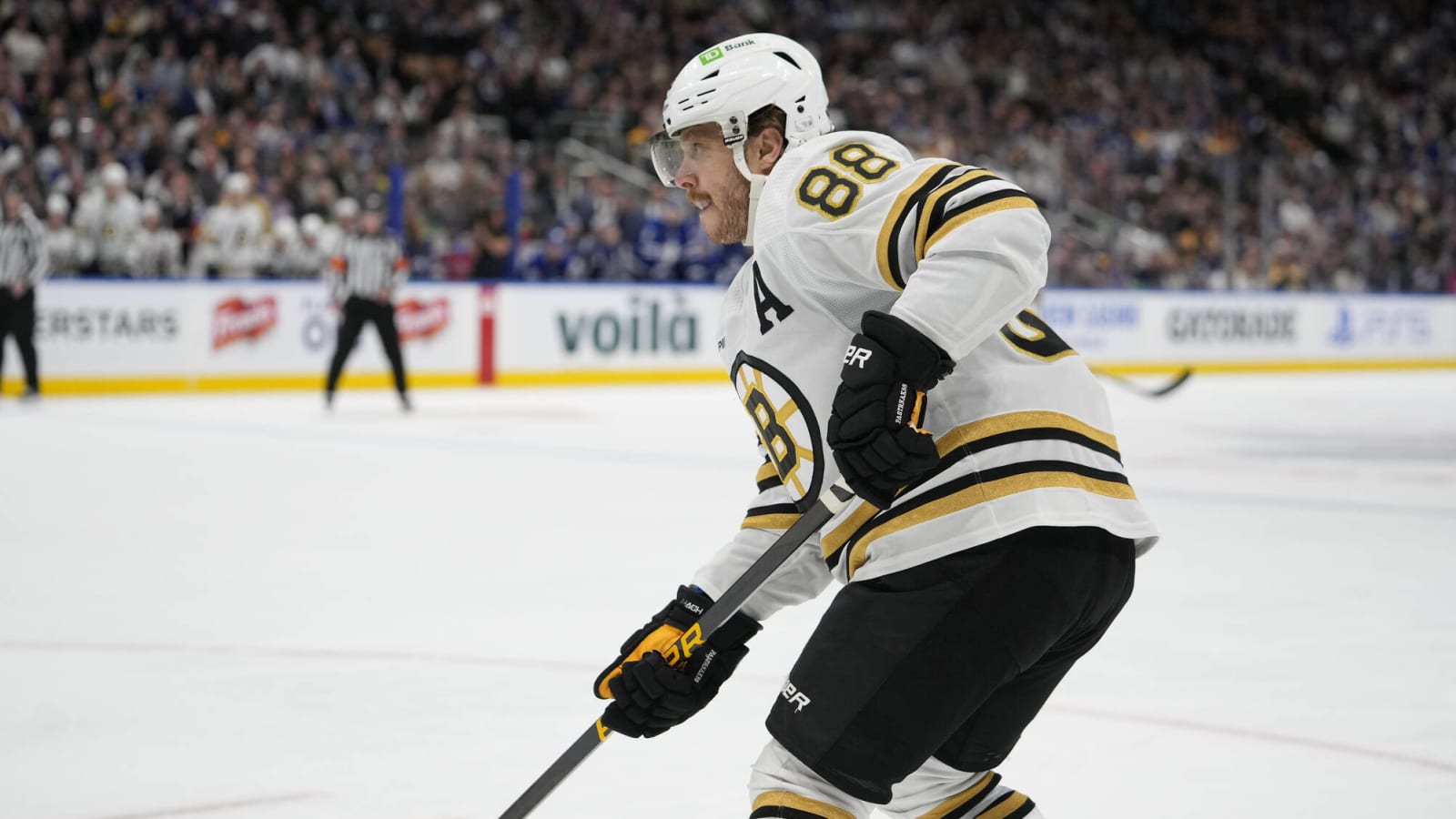 Debate Rages After Bruins Allow Pastrnak and Tkachuk Fight