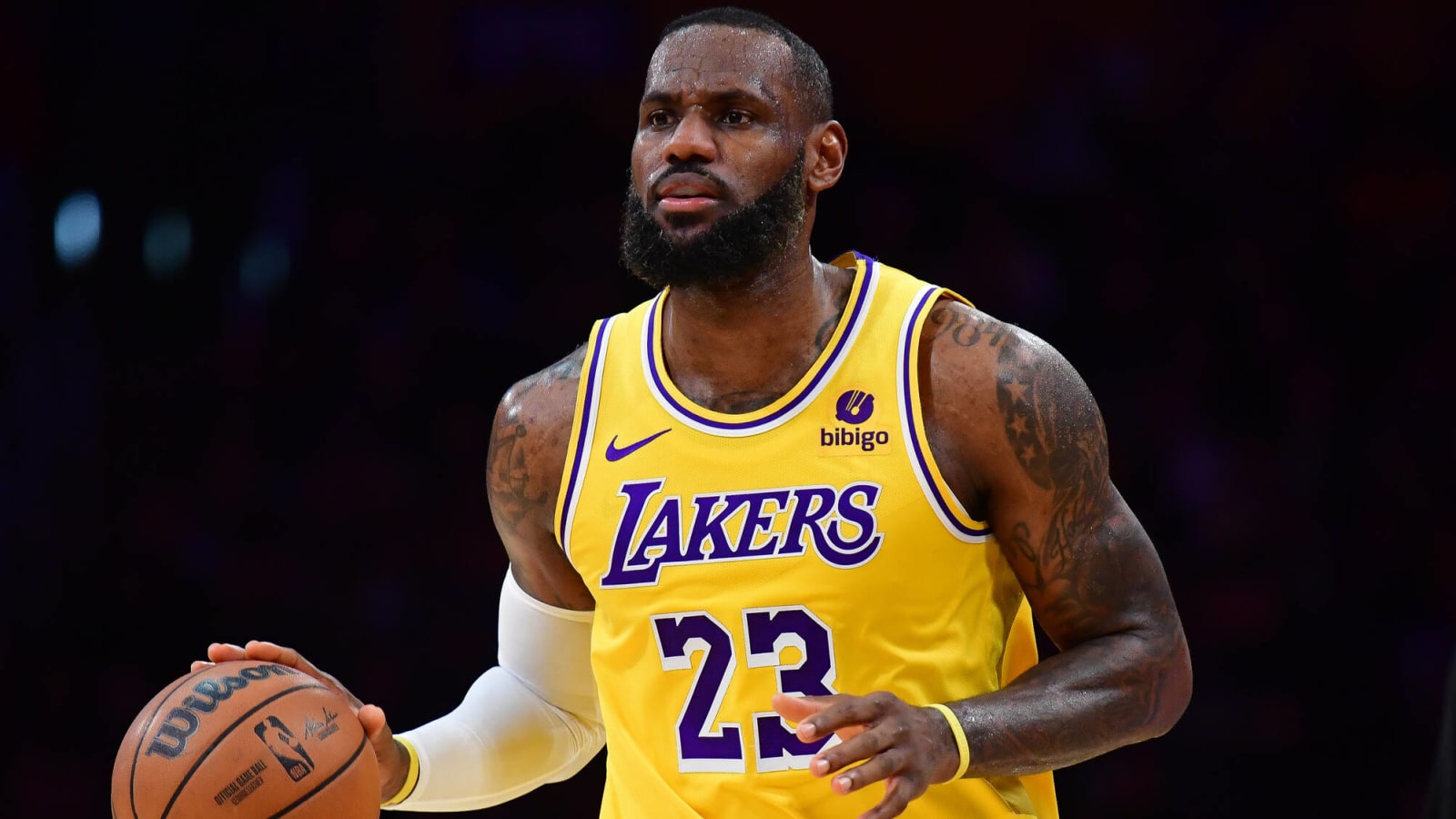 ‘Worried’ LeBron James reached out to NBA veteran to coach sons Bronny and Bryce James