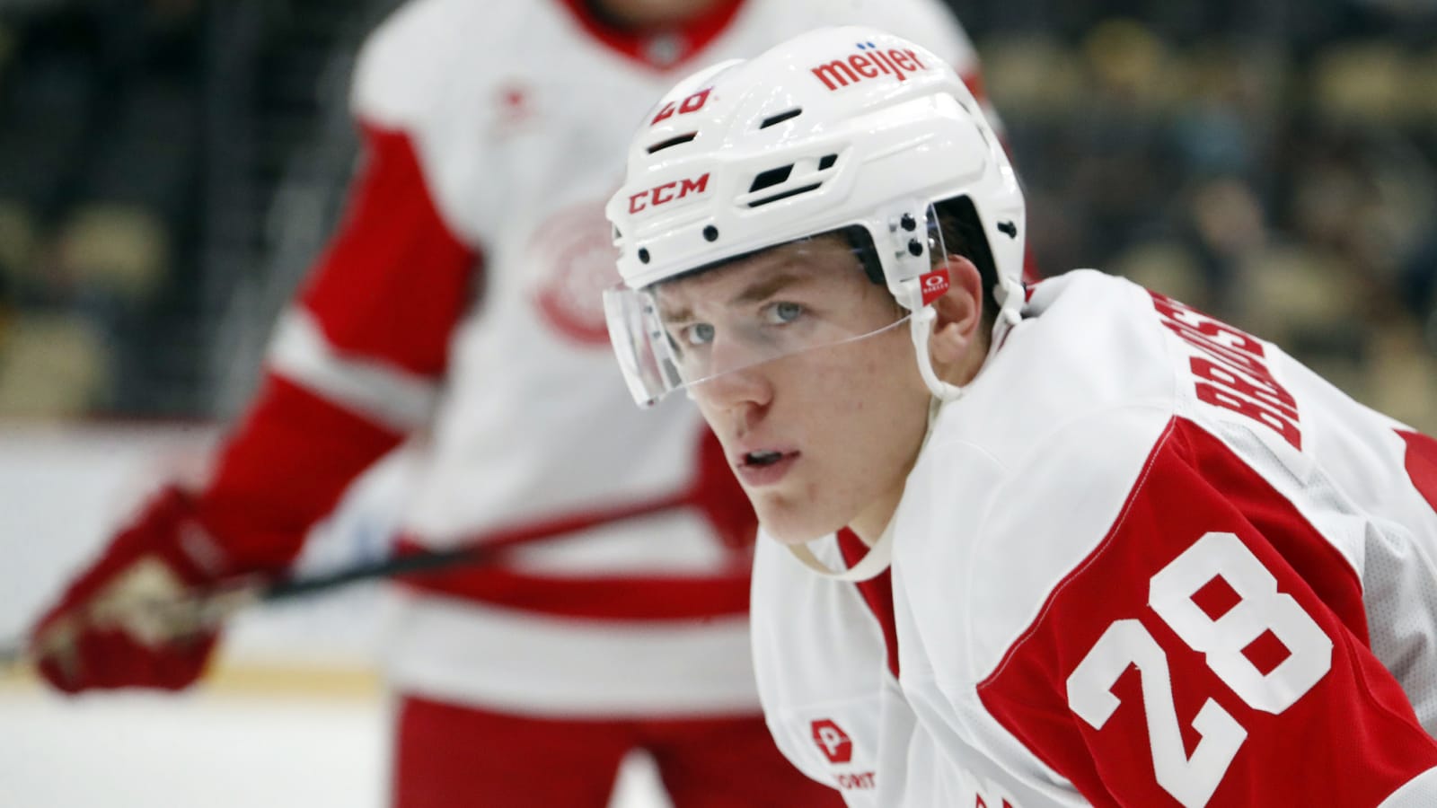 Nature Calls, Red Wings Prospect Misses Bus