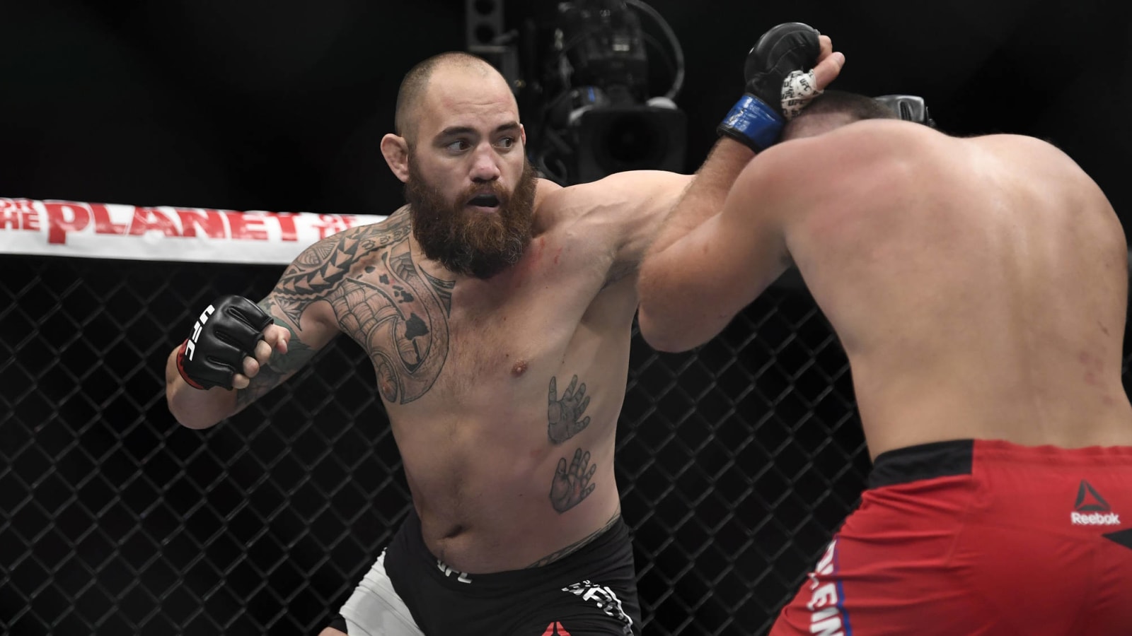 Ronda Rousey’s husband Travis Browne beat up fan who attacked Bret Hart