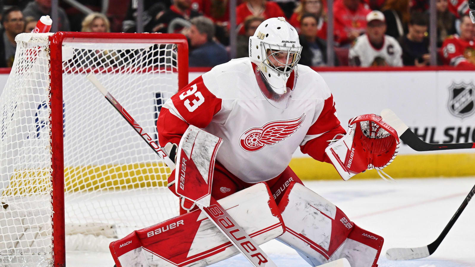 Sebastian “the Rollercoaster” Cossa Trying to Stay on Track
